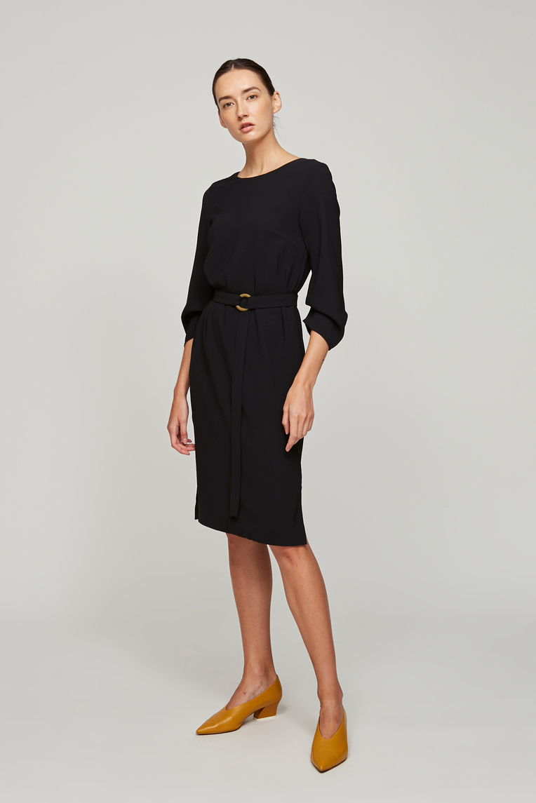 Pleat Sleeve Dress